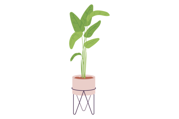 Download House Greenery. Potted Houseplant on Sta - House Collection