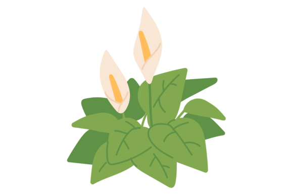 Download Peace Lily Color Icon. House Plant Flowe - House Collection
