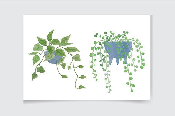 Download House Plant Clipart, Indoor Plants - House Collection