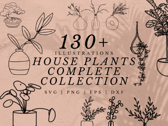 Download 130+ House Plant Illustration SVGs - House Collection