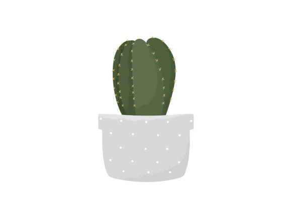 Download House Plant Tropical Cactus Flower Vase - House Collection