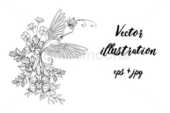Download Contour Hummingbird with Orchids - Contour Collection